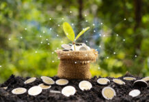 Guadagni… Funzionano? Earnouts... Do They Work?