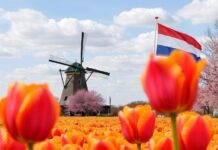 MergersCorp Investment Banking expandiert in die Niederlande mit lokaler Expertise und spezieller niederländischer Plattform
